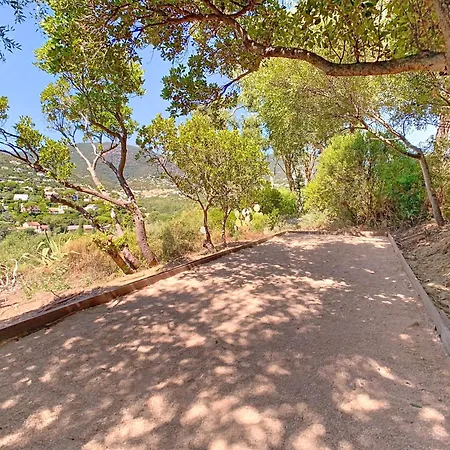 Villa Les Citronniers - Splendide Vue Acces A Pieds A 5 Minutes Cavalaire-sur-Mer